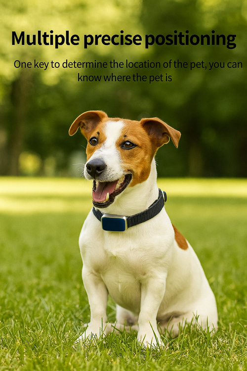 Vernetztes GPS-Tracking-Halsband für Hunde oder Katzen