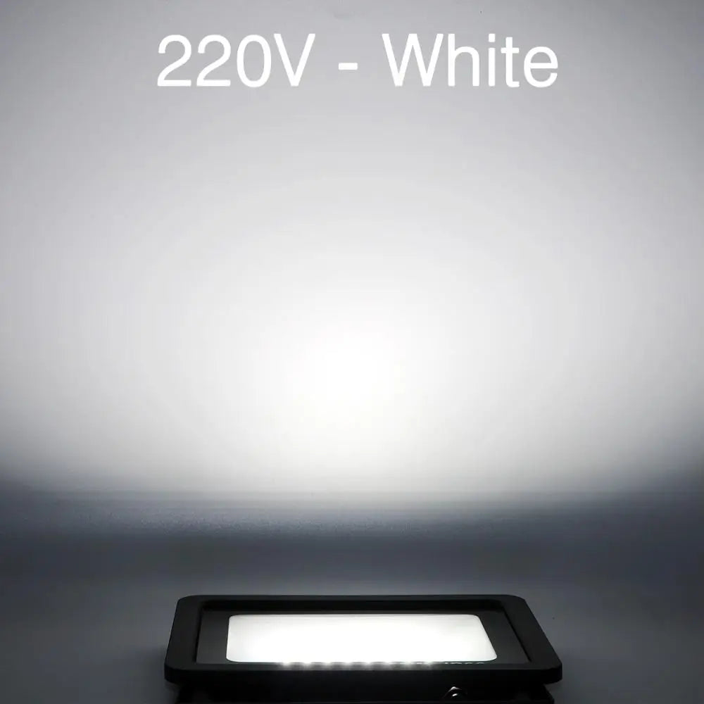 10W 30W 50W 100W LED Flood Light Waterproof IP65 Spotlight Wall Lamp Outdoor Lighting Warm Cold White 110V 230V LED FloodLight